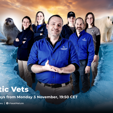 Το αφιέρωμα «Παγωμένα Σύνορα της Γης» και «Οι Κτηνίατροι της Αρκτικής» κάνουν πρεμιέρα στο Viasat Nature