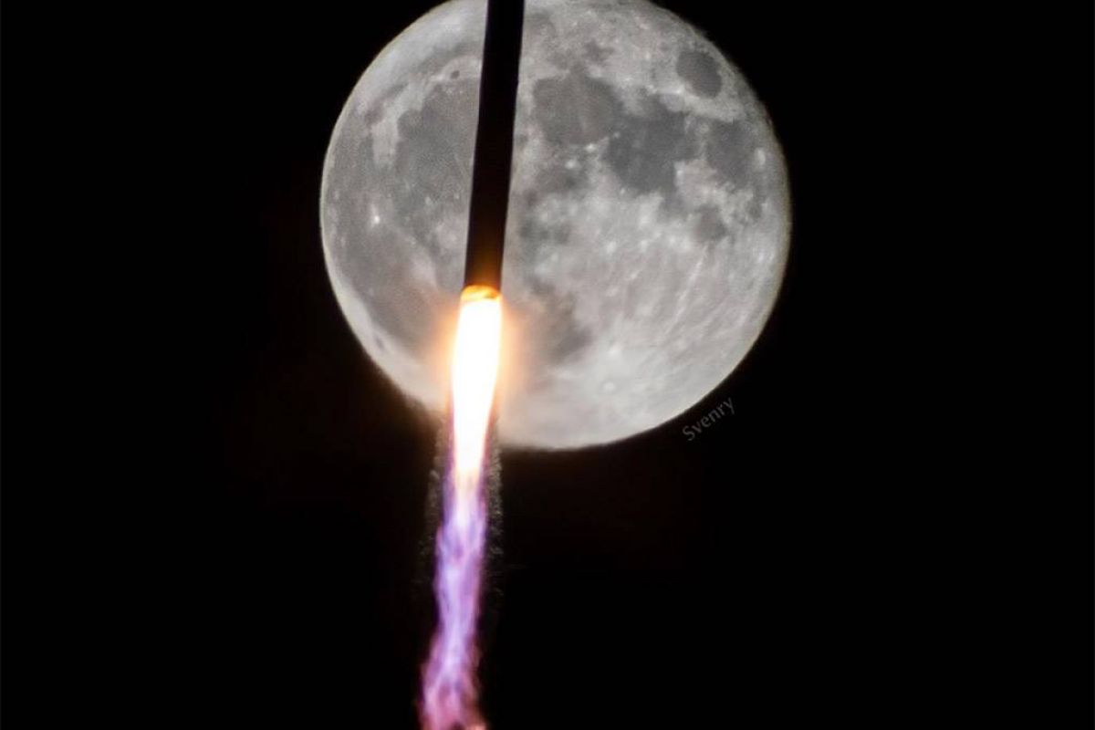 e230301f642617f34df7213cdd96e04e XL ff0a8a01