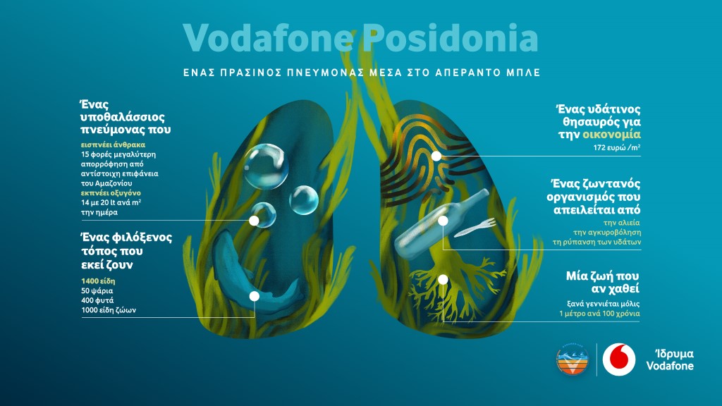 Vodafone Posidonia Infographic