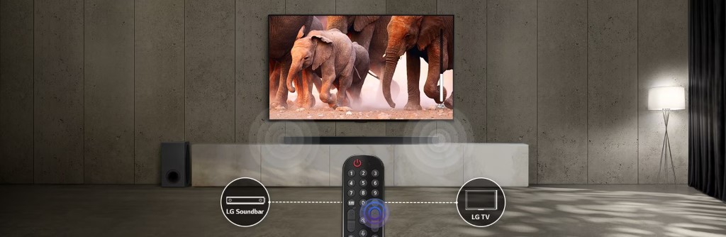 LG Magic Remote Control 2