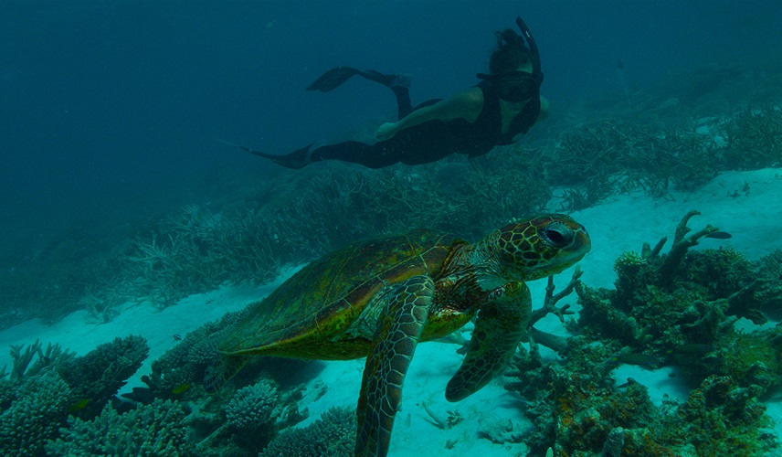 Viasat Nature Deep Dive Australia 3