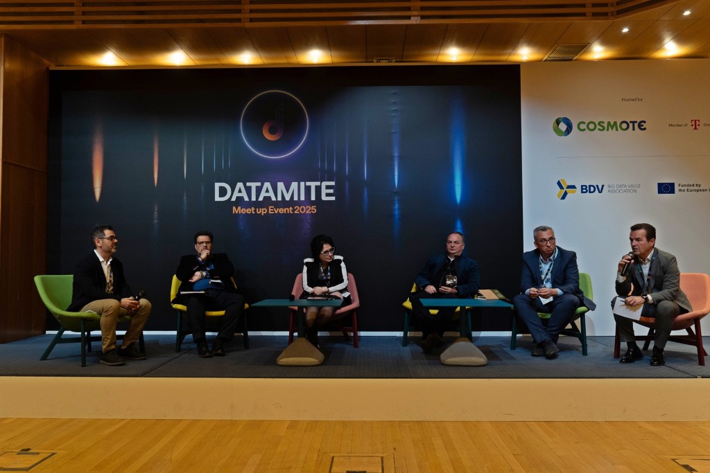 DatamiteMeetUp2025 panel