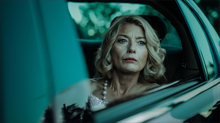 Black Daisies Photo 2