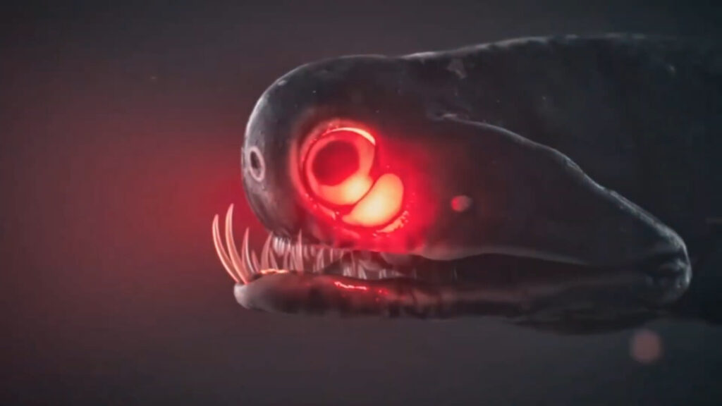 Viasat Explore MOD Steve Backshall 1videoframe 54384