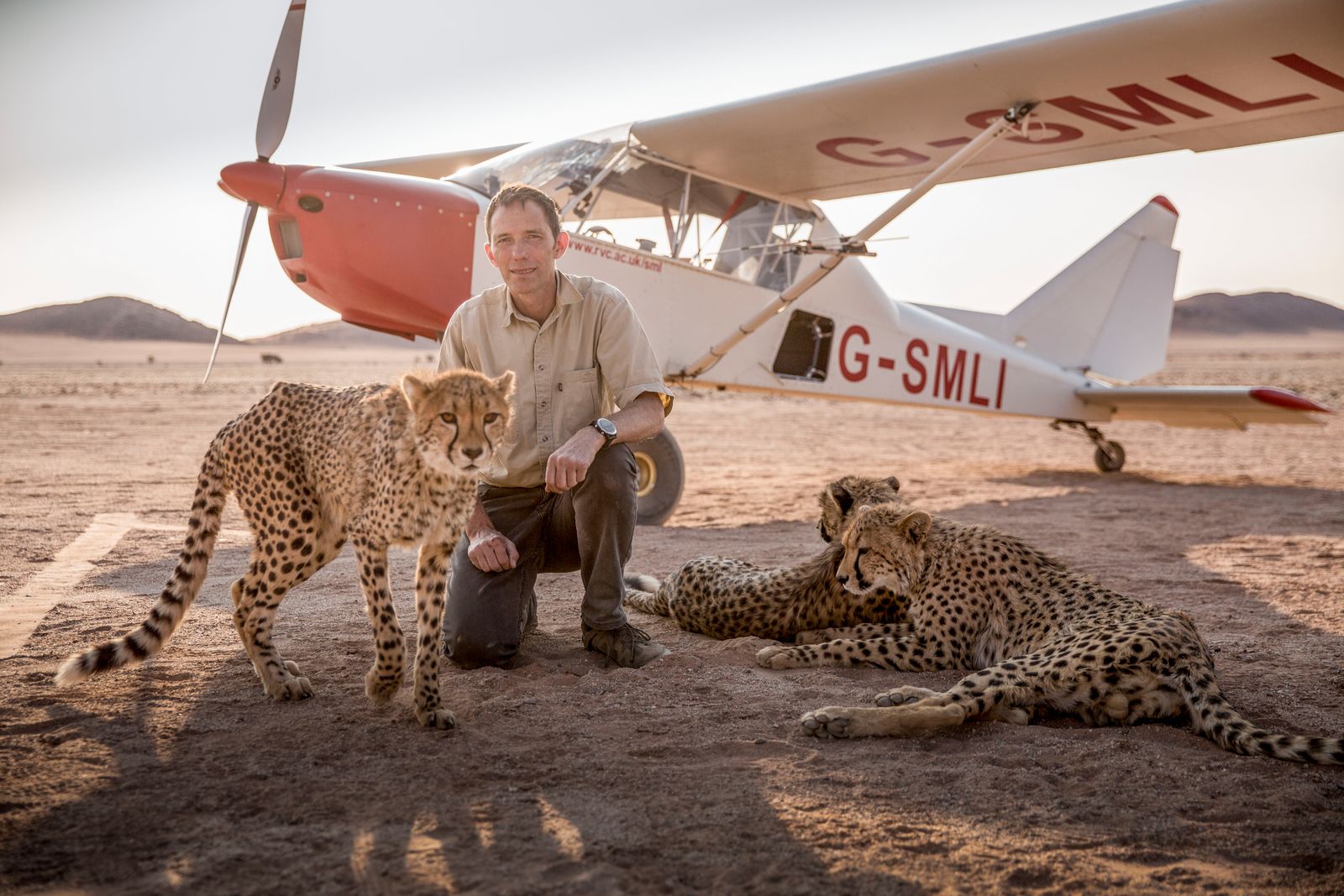 Viasat NATURE BigCats ScienceOf 004