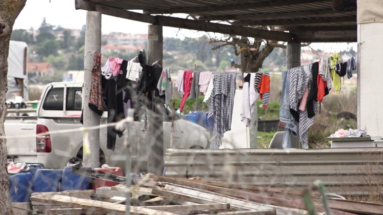 vlcsnap 2025 07 09 13h21m39s761 747x420 1