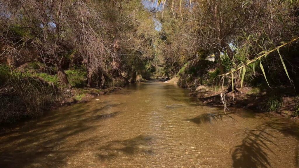 vlcsnap 2025 07 14 13h07m29s622