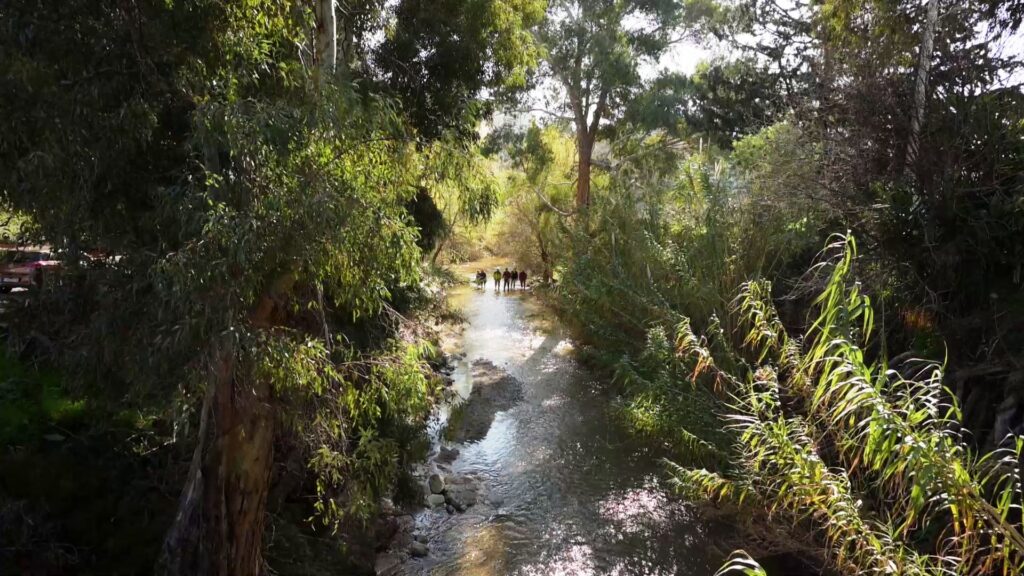 vlcsnap 2025 07 14 13h07m49s361