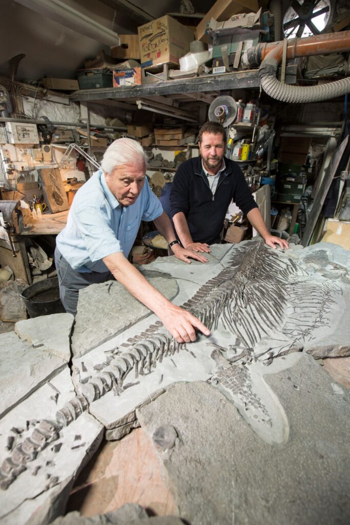 Viasat NATURE AttenboroughSeaDragon 012