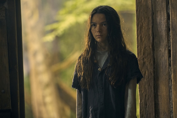 Η Κόρη του Βασιλιά του Βάλτου Photo 3