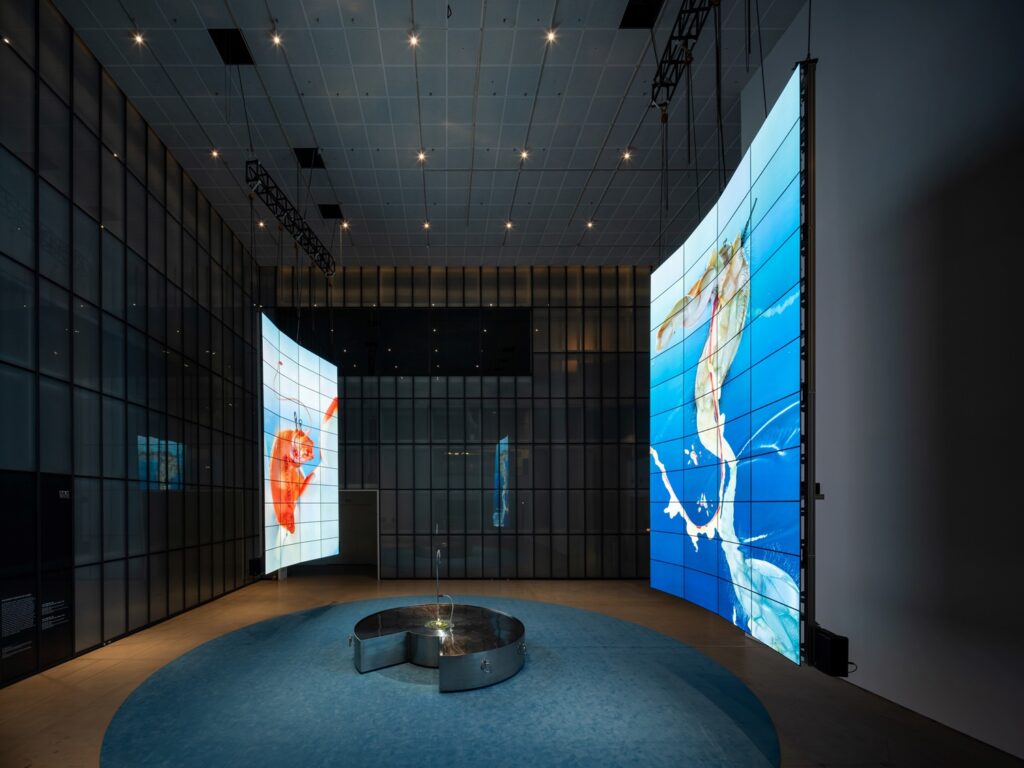 MMCA X LG OLED Series 01 Main