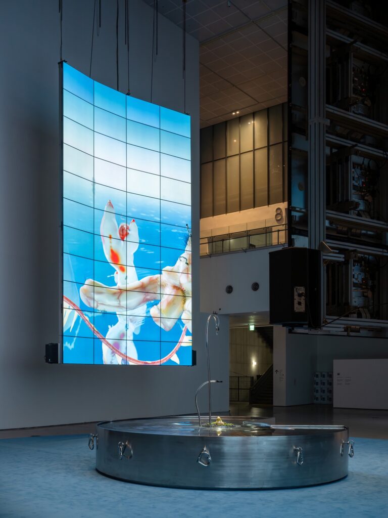 MMCA X LG OLED Series 02