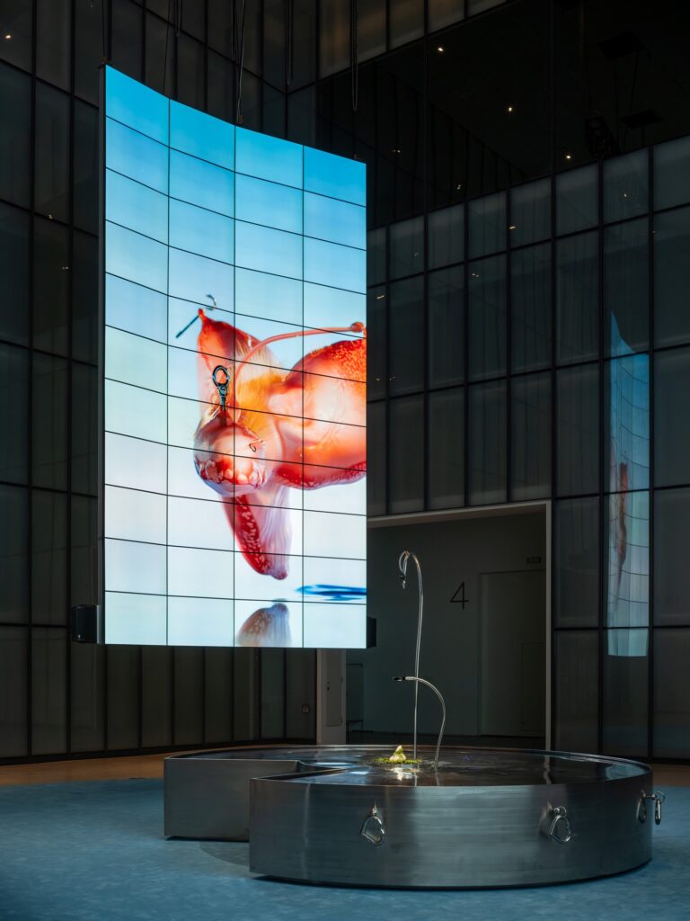 MMCA X LG OLED Series 04