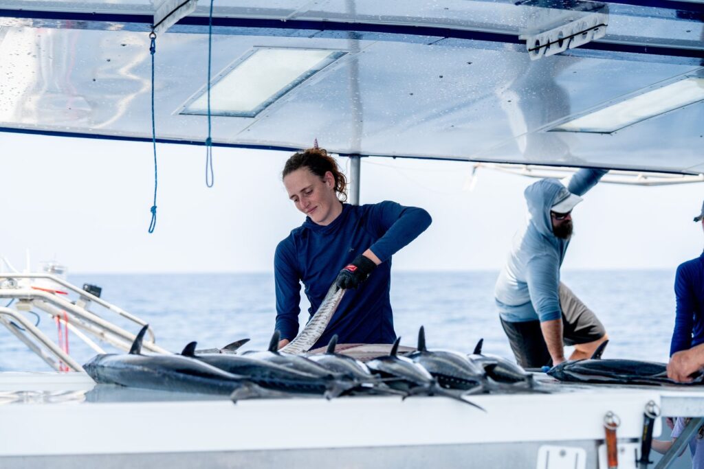 Viasat Explore Cape Carnage Killer Catch 3