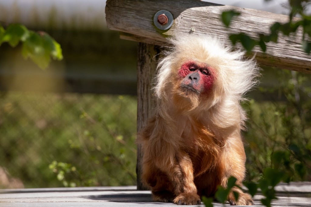 Viasat NATURE MLs14 still 5