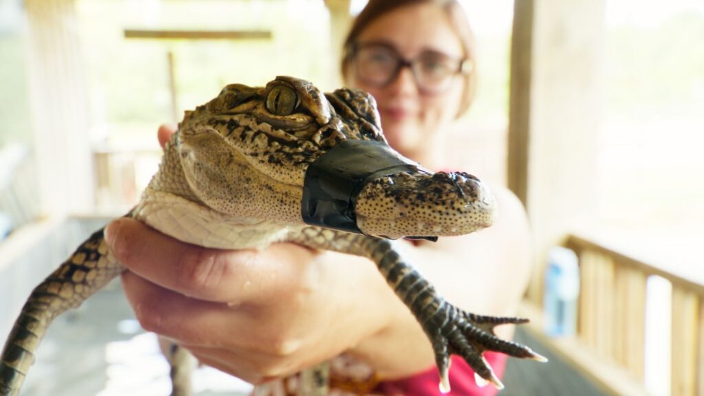 Viasat Nature Texas Gator Savers S01 E10 Still 02 1