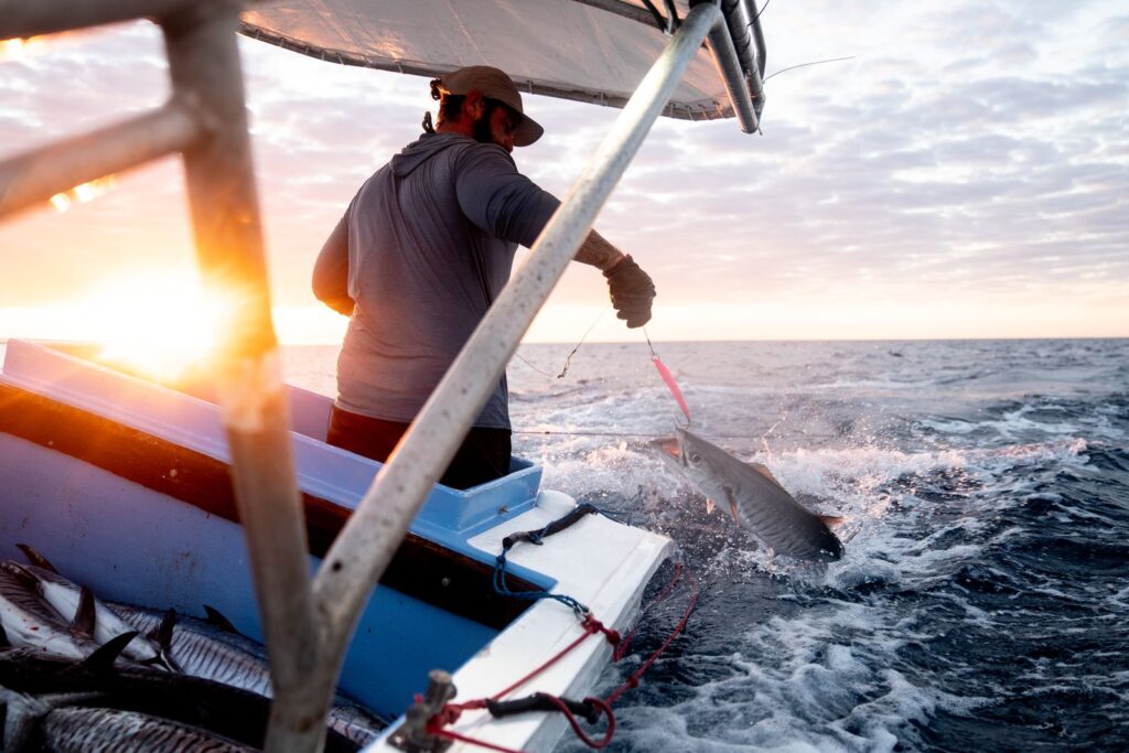 Viasat Explore Cape Carnage Killer Catch 12 06