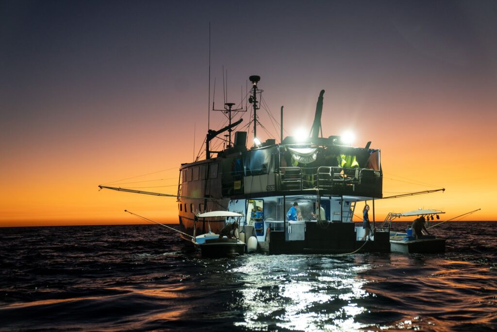 Viasat Explore Cape Carnage Killer Catch 12 07