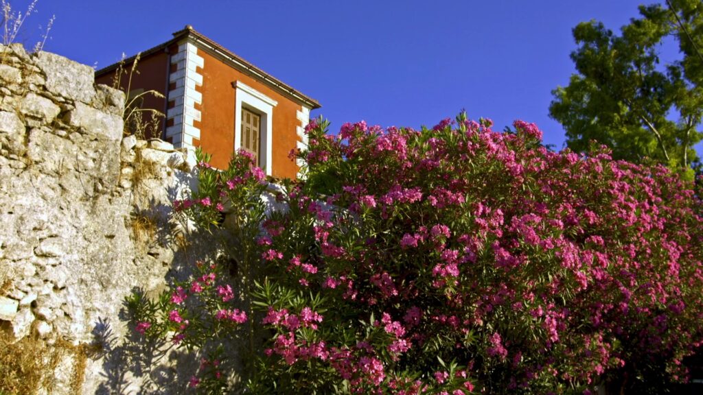 SPOROS EP07 PHOTO 22