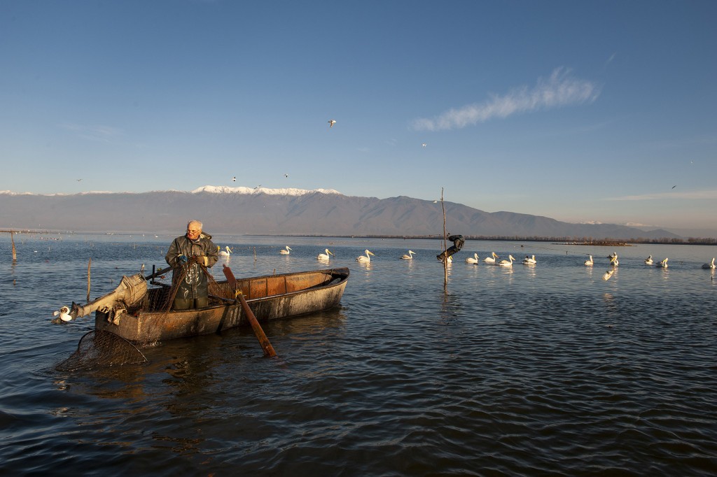 Sporos ERT3 DocSeries 1