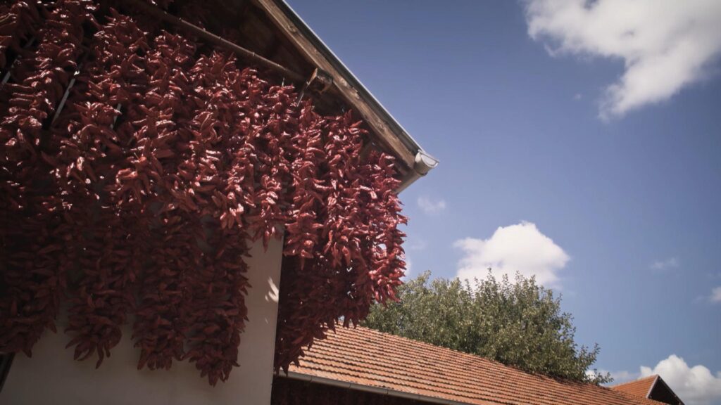 AB25 EP03 STILL 0005