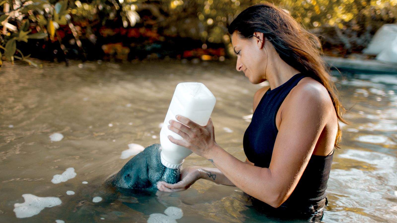 Viasat Nature Deep Dive North America Ep04 Still 02