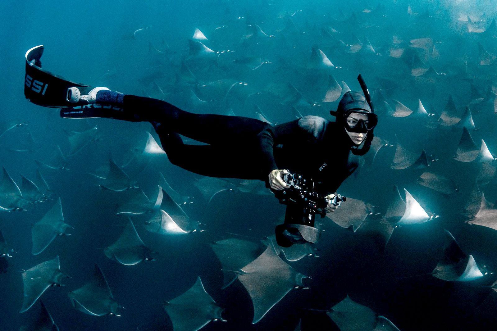 Viasat Nature Deep Dive North America Ep03 Still 04 copy