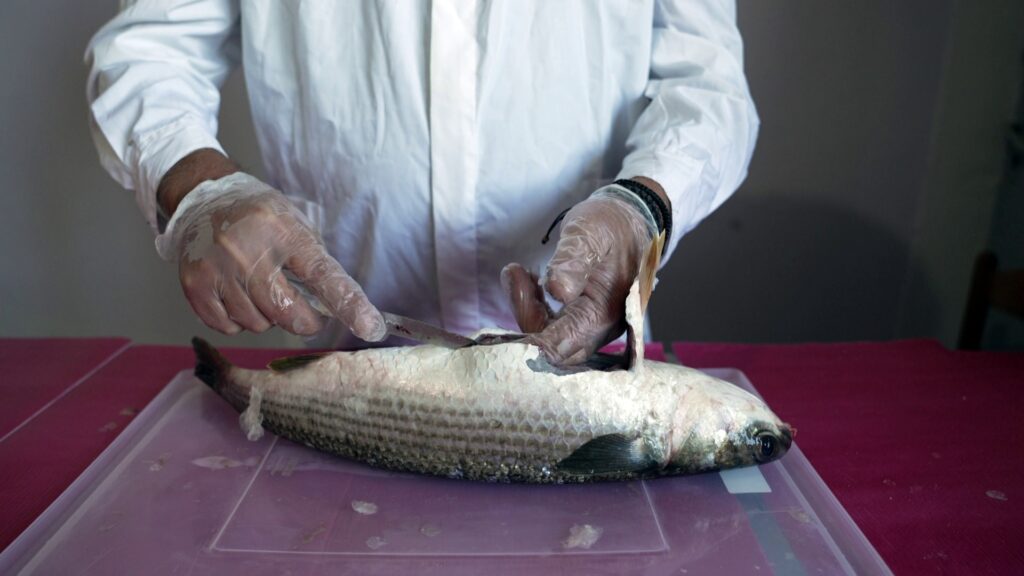 vlcsnap 2026 01 15 12h39m46s577