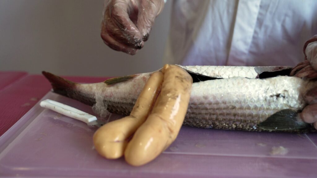 vlcsnap 2026 01 15 12h40m56s280