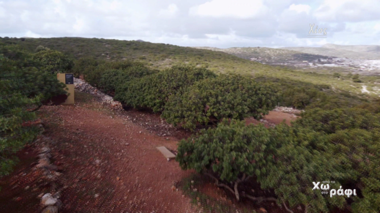 ApoToXwrafi Mastixa05 747x420 1