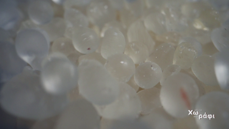 ApoToXwrafi Mastixa12 747x420 1