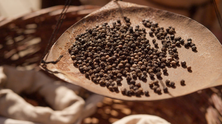 Silk Road Denmark A004 C031 0904LY.0000755 747x420 1