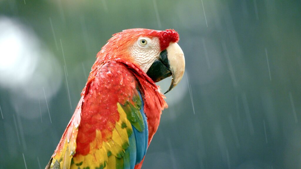 Viasat Nature Extreme World HUMEDAD.EXTREMA.14