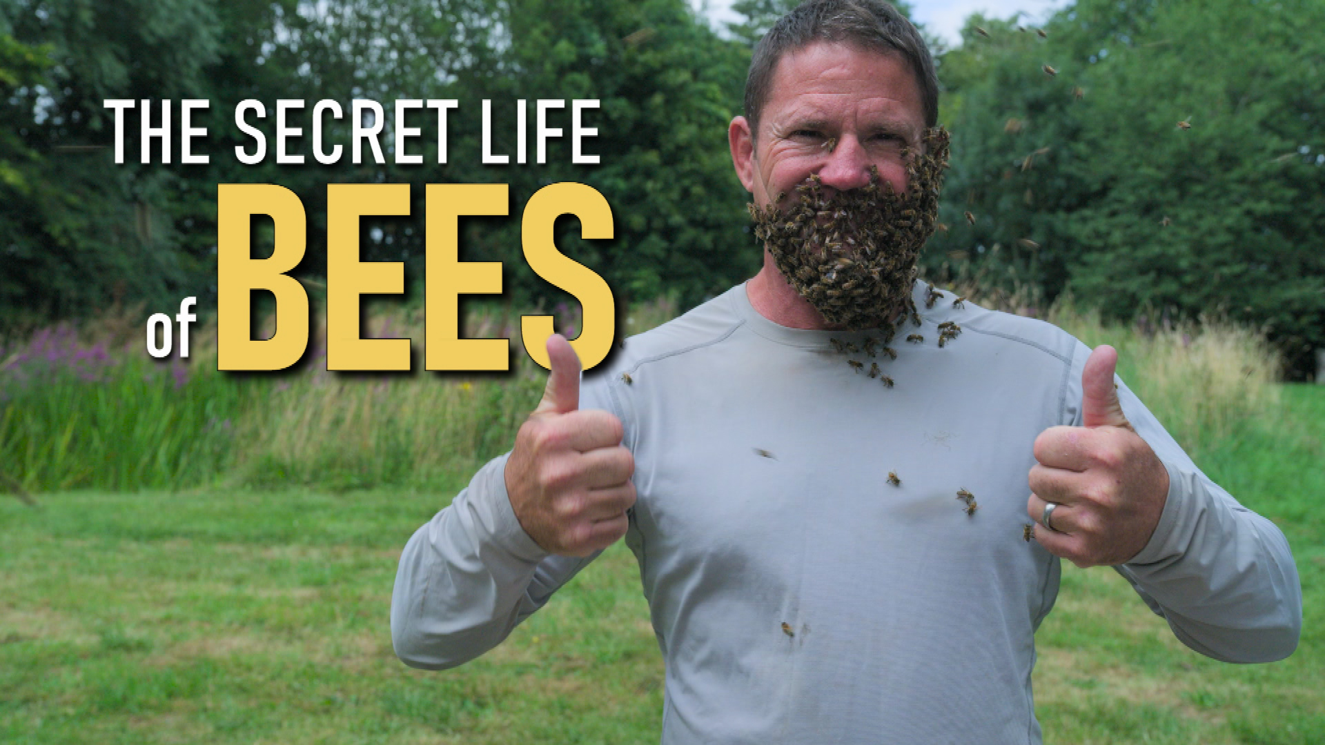 Viasat Nature The Secret Life of Bees with Steve Backshall Title Card copy
