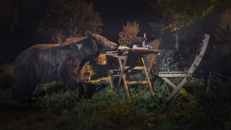 EPST BaerenalarmInTranssilvanien 3 Boas Schwarz 747x420 1