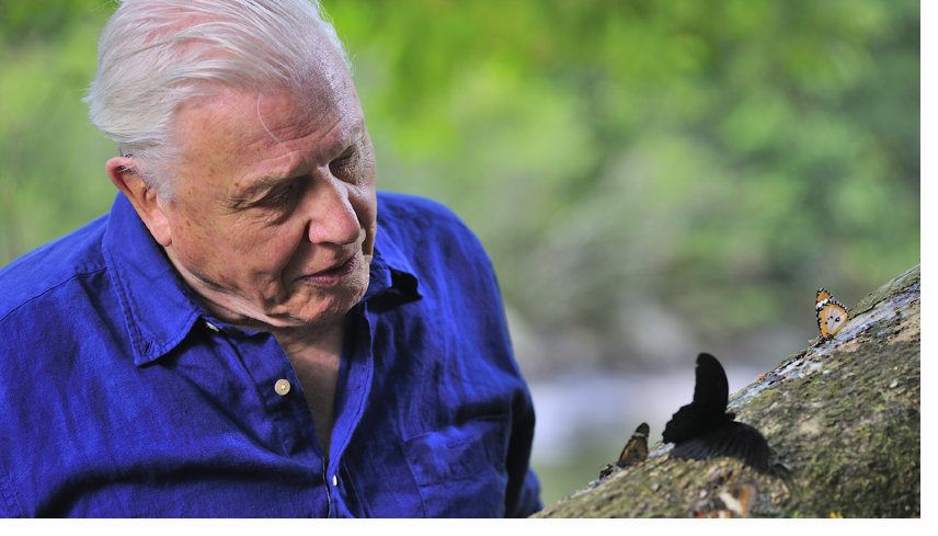 COSMOTE TV 100 years Attenborough
