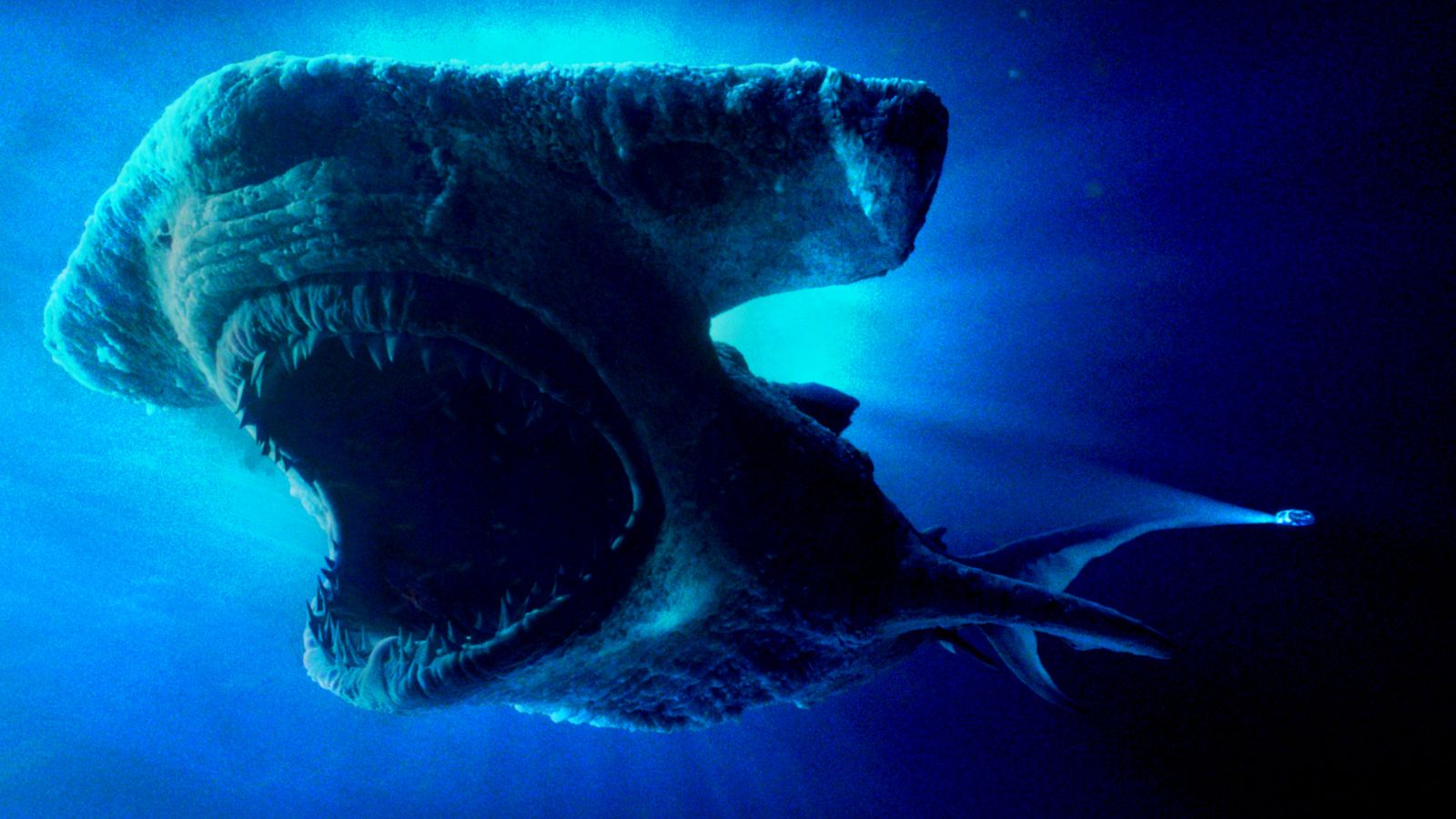 Viasat Nature Frankenshark Key Art copy 1
