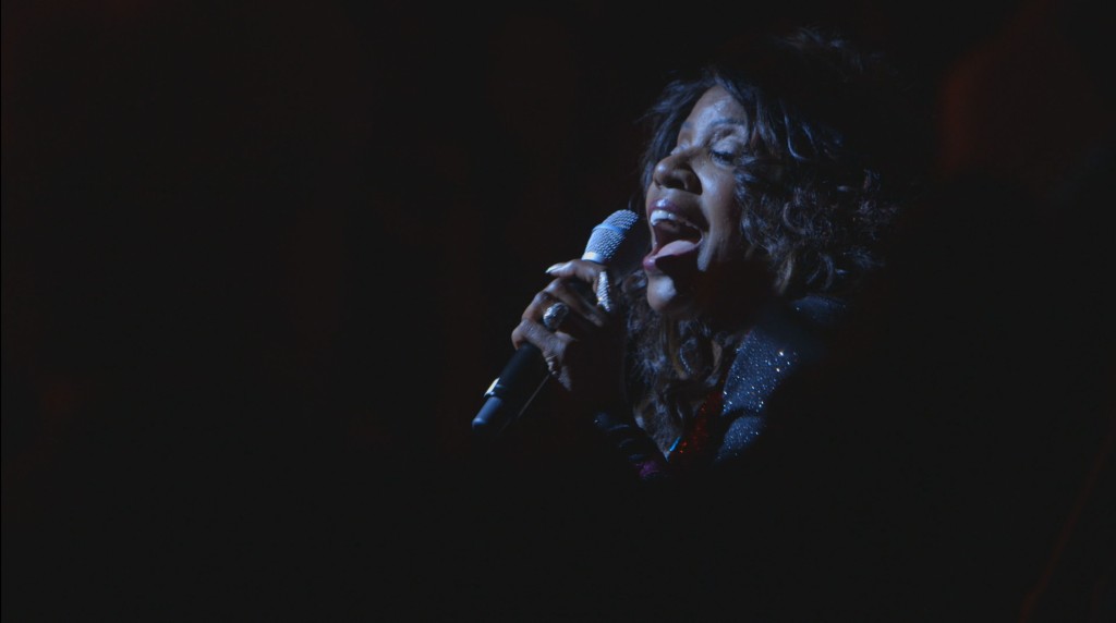 GLORIA GAYNOR I WILL SURVIVE result
