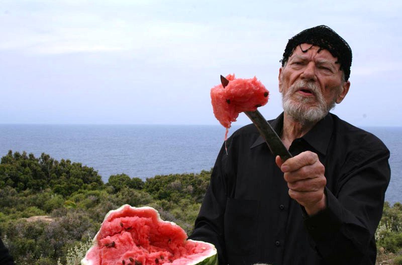 Rosmarinus officinalis ή Δενδρολίβανος ο φαρμακευτής 3