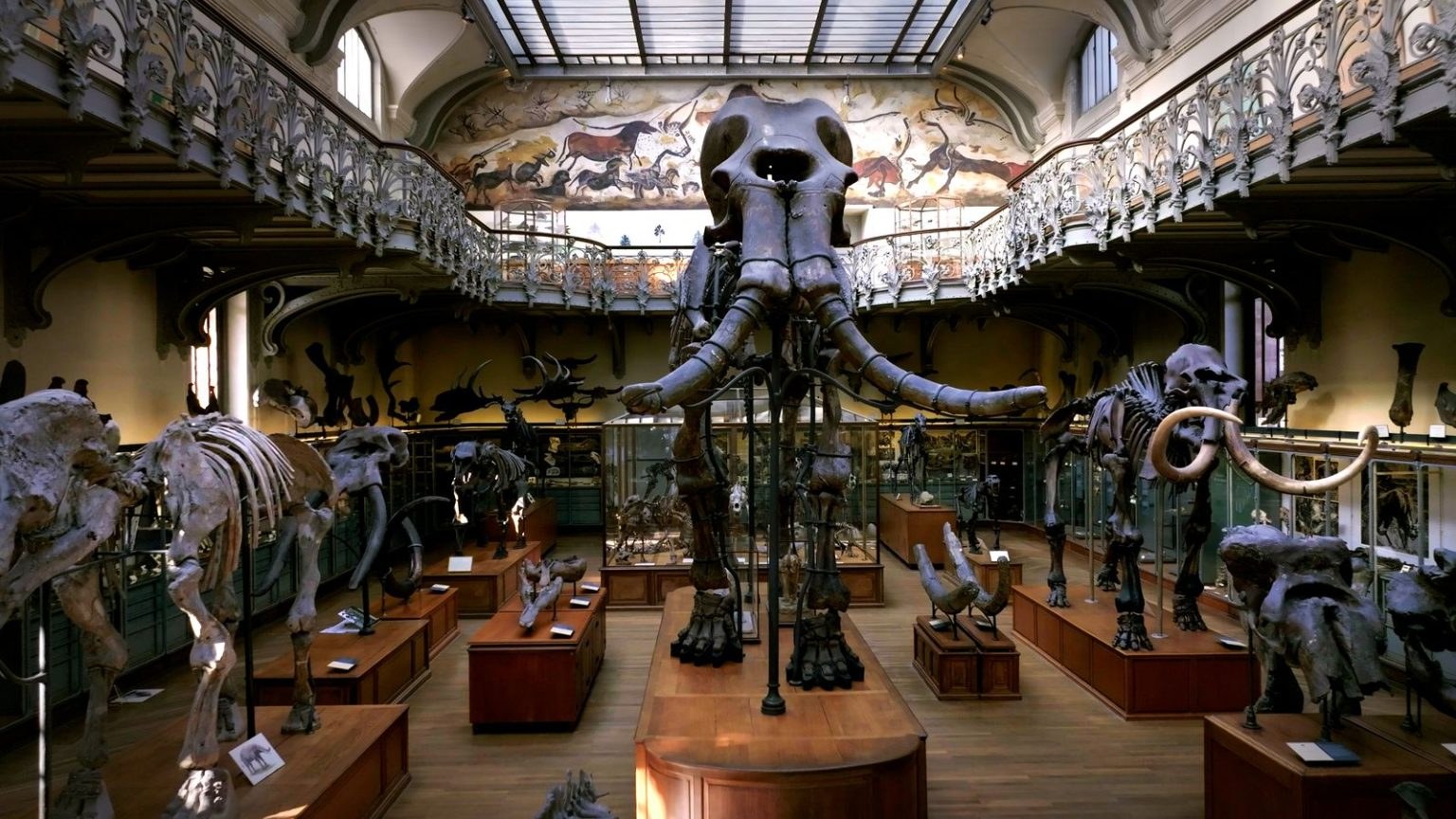 Viasat Nature_ In the Footsteps of the Giant Mammoth_exhibit
