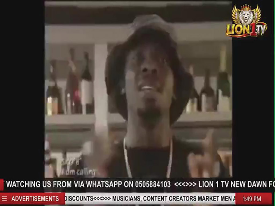 Lion 1 TV