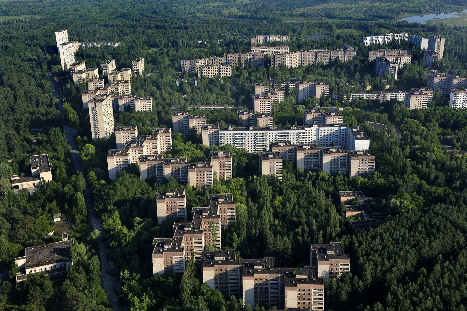 Viasat Nature-RA-Chernobyl_Wolves_AOL2365_007